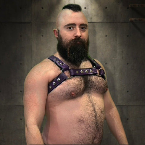 Bold Bulldog Harness